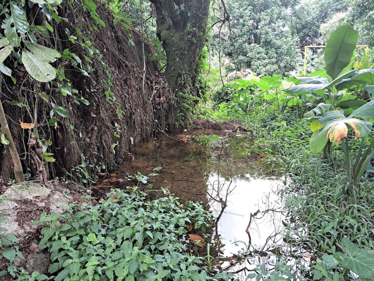 Paradisiaco, Piscina E Churrasqueira Em Guapimirim Esterno foto